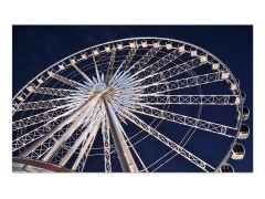 the eye